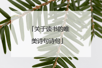 关于读书的唯美诗句诗句