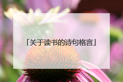关于读书的诗句格言