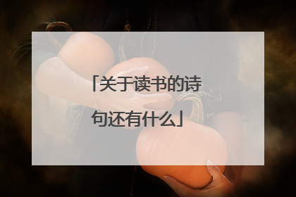 关于读书的诗句还有什么