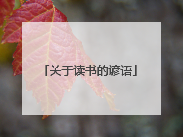 关于读书的谚语