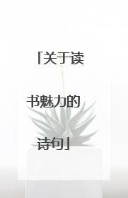 关于读书魅力的诗句