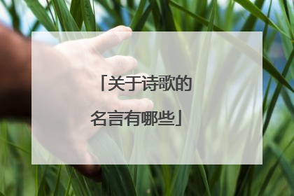 关于诗歌的名言有哪些