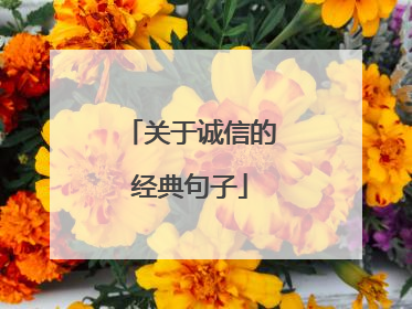 关于诚信的经典句子
