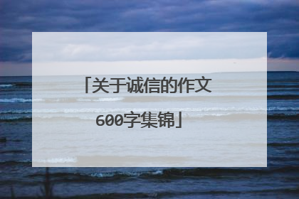 关于诚信的作文600字集锦