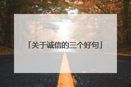 关于诚信的三个好句