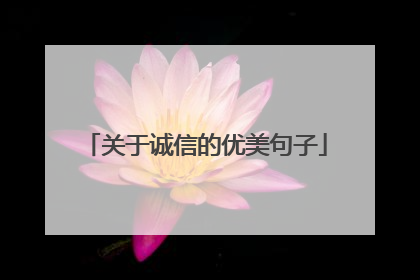 关于诚信的优美句子