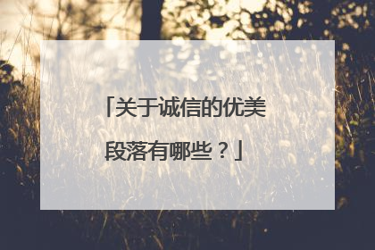 关于诚信的优美段落有哪些？