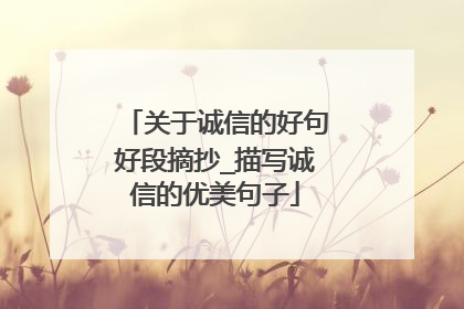 关于诚信的好句好段摘抄_描写诚信的优美句子