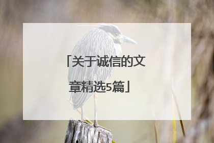 关于诚信的文章精选5篇