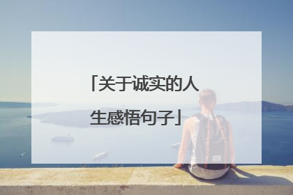 关于诚实的人生感悟句子