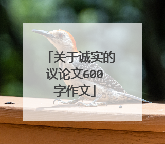 关于诚实的议论文600字作文