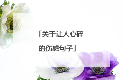 关于让人心碎的伤感句子