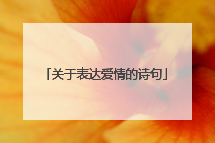 关于表达爱情的诗句