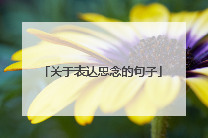 关于表达思念的句子