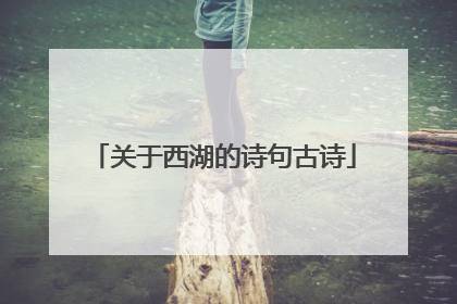 关于西湖的诗句古诗