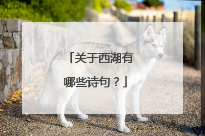 关于西湖有哪些诗句?