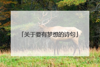 关于要有梦想的诗句