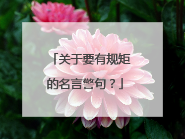 关于要有规矩的名言警句？