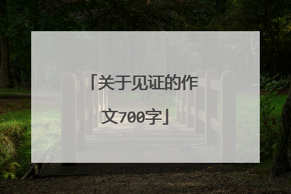 关于见证的作文700字