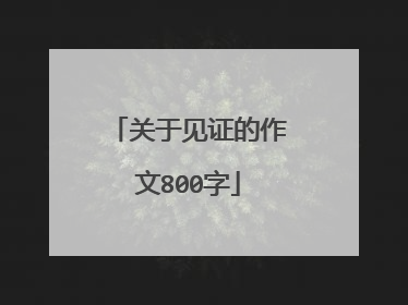 关于见证的作文800字