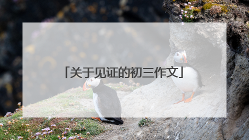 关于见证的初三作文