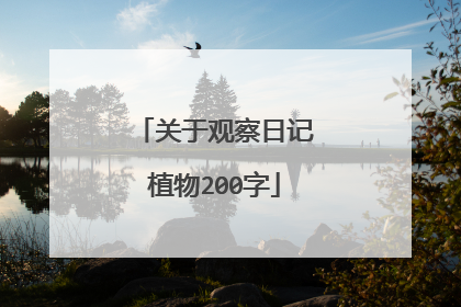 关于观察日记植物200字