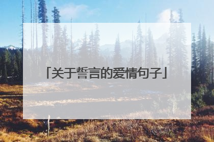 关于誓言的爱情句子