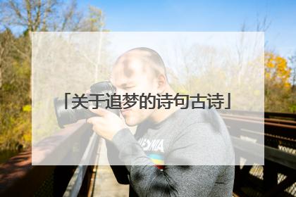 关于追梦的诗句古诗