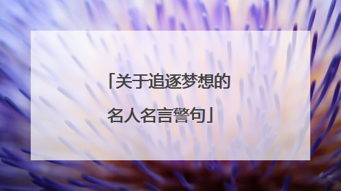 关于追逐梦想的名人名言警句