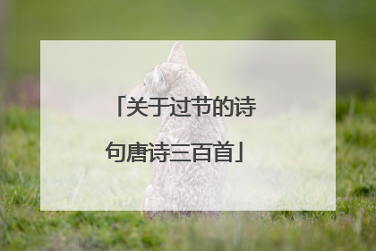 关于过节的诗句唐诗三百首