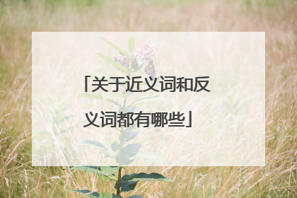 关于近义词和反义词都有哪些
