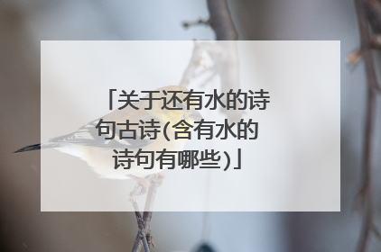 关于还有水的诗句古诗(含有水的诗句有哪些)