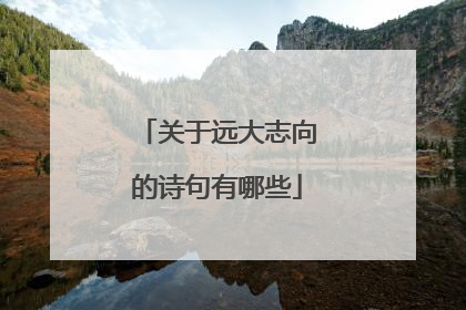 关于远大志向的诗句有哪些
