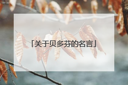 关于贝多芬的名言
