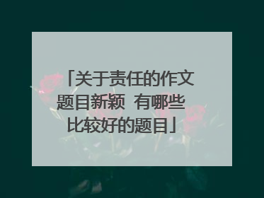 关于责任的作文题目新颖 有哪些比较好的题目