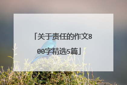 关于责任的作文800字精选5篇