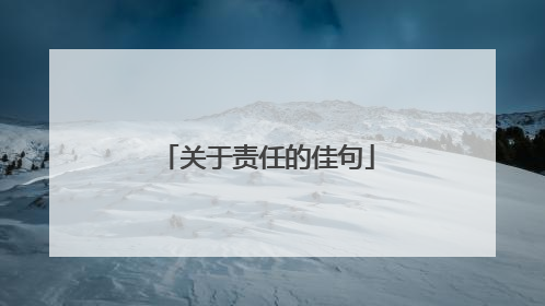 关于责任的佳句