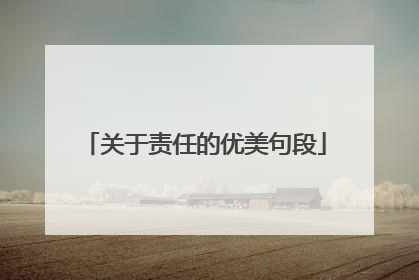 关于责任的优美句段