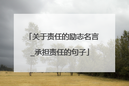 关于责任的励志名言_承担责任的句子