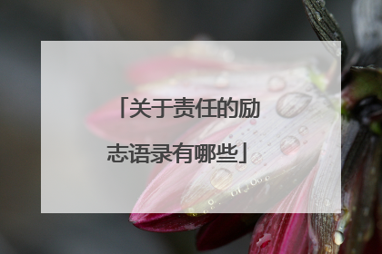 关于责任的励志语录有哪些