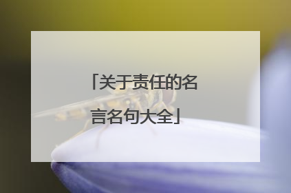 关于责任的名言名句大全