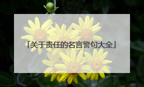 关于责任的名言警句大全
