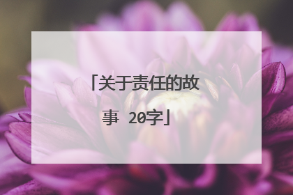 关于责任的故事 20字