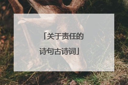 关于责任的诗句古诗词