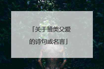 关于赞美父爱的诗句或名言