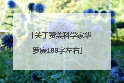 关于赞美科学家华罗庚100字左右