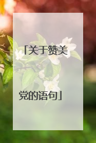 关于赞美党的语句