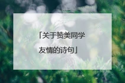 关于赞美同学友情的诗句