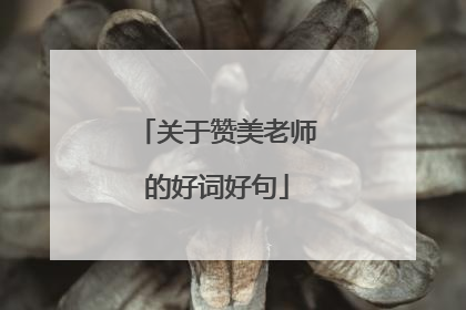 关于赞美老师的好词好句