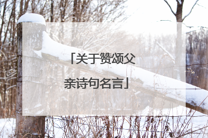 关于赞颂父亲诗句名言